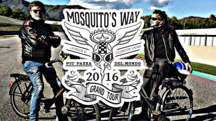 mosquitos way 1 mosquito's way
