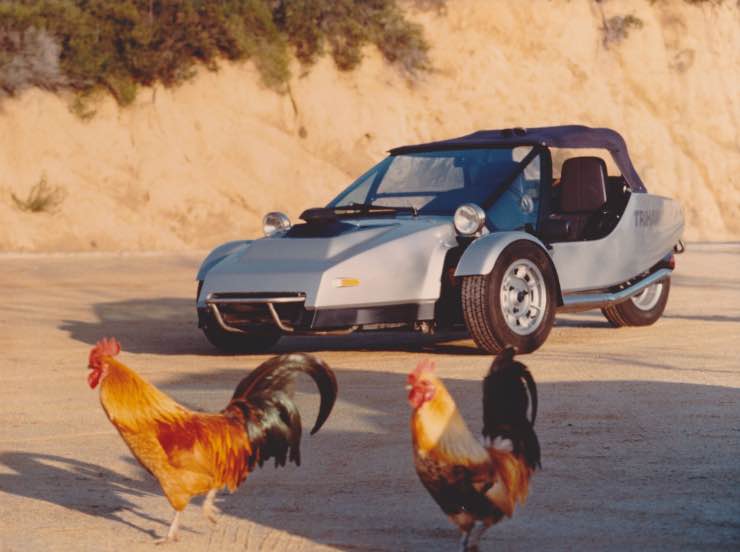 Trihawk Trike 304 Trihawk