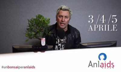 ringobonsai