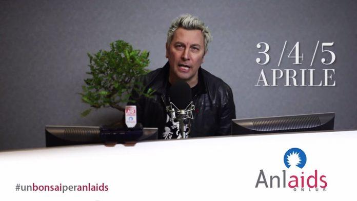 Un Bonsai per Anlaids Un Bonsai per Anlaids