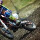 cairoli