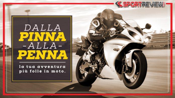 dalla-pinna-alla-penna-contest
