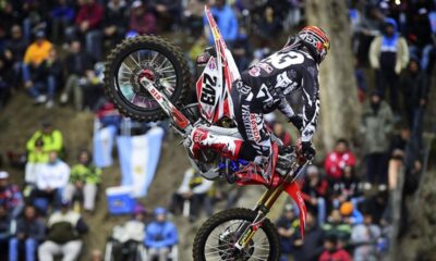 gajser