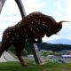 red bull ring