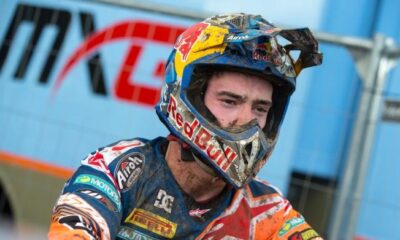 Herlings