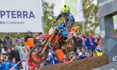 cairoli germania