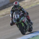 REA JEREZ