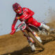 mxgp tim gajser 2017 action