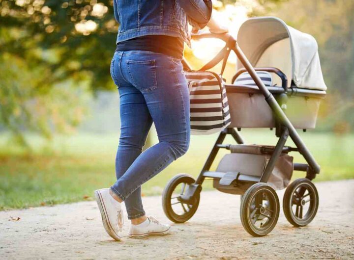 Passeggino particolare