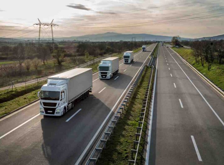 Camion origini nome