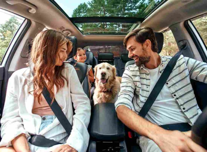 Viaggiare in auto