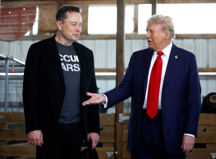 Elon Musk e Donald Trump lite