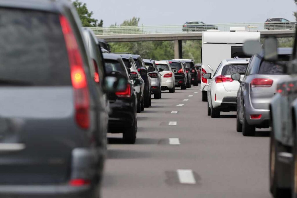 Oleandri autostrada perché