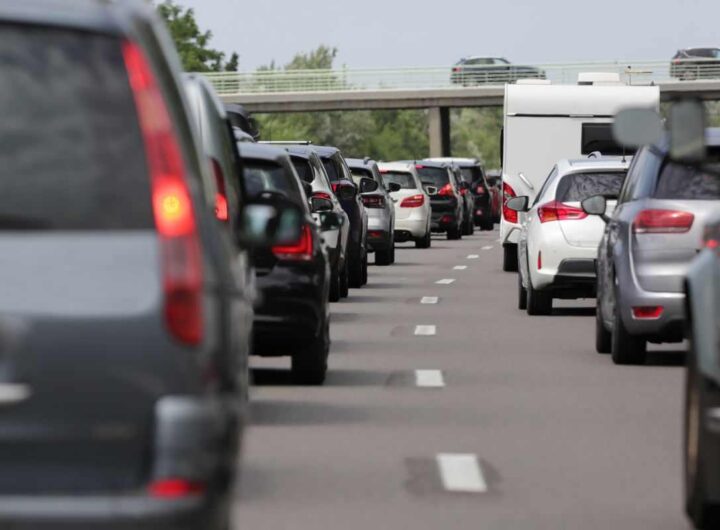 Oleandri autostrada perché
