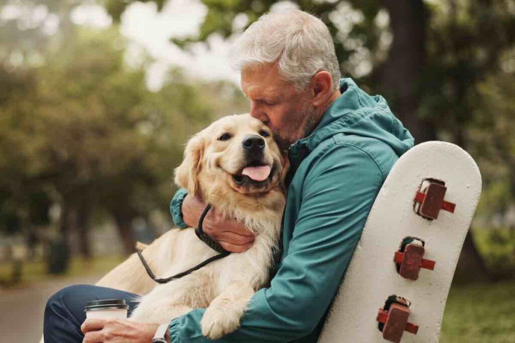 Regalo per cane