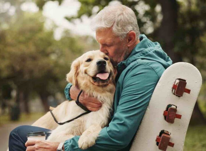 Regalo per cane